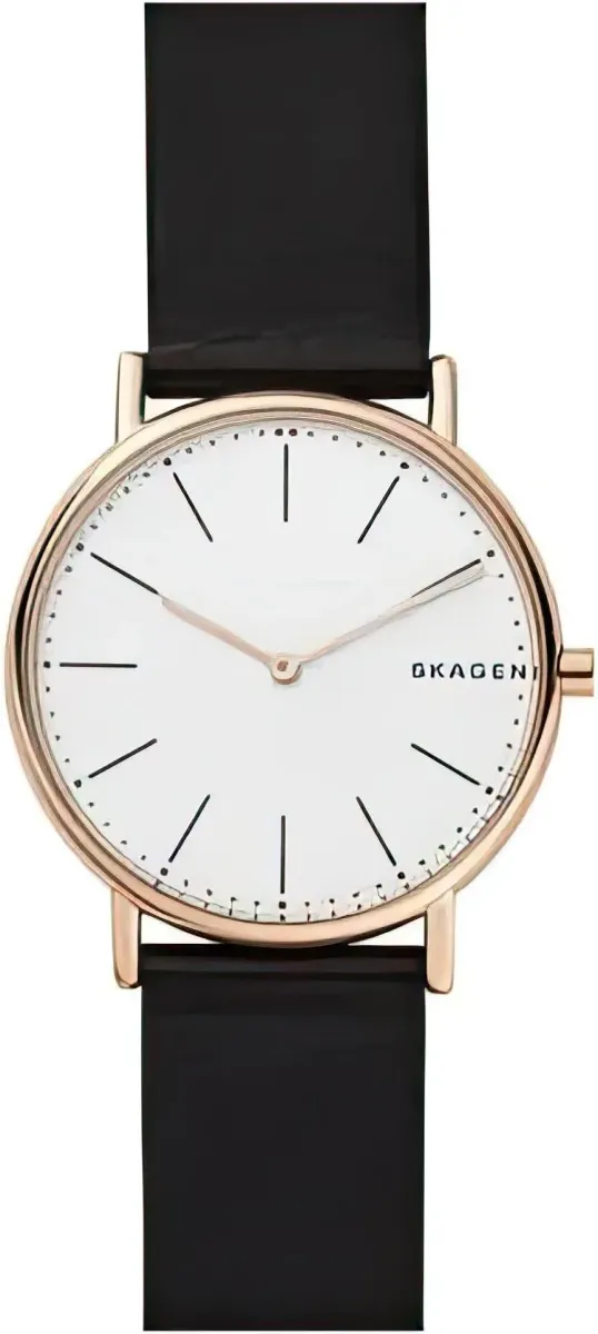 Наручные часы  Skagen  Leather Skagen SKW6430 (фото 1)