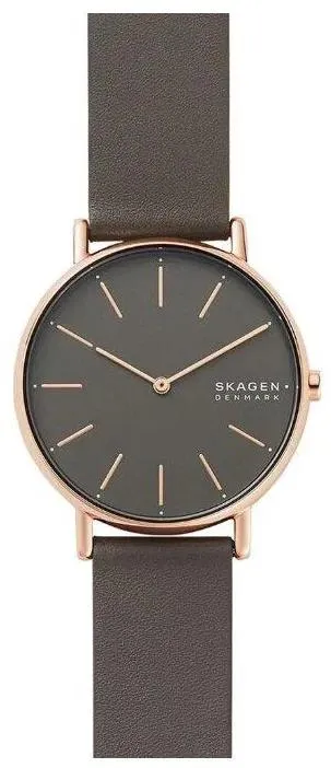 Наручные часы  Skagen  Signatur Skagen SKW2794 (фото 1)