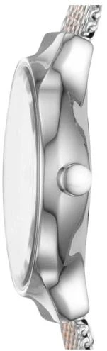 Наручные часы  Skagen  Steel Women Skagen SKW2699 (фото 2)