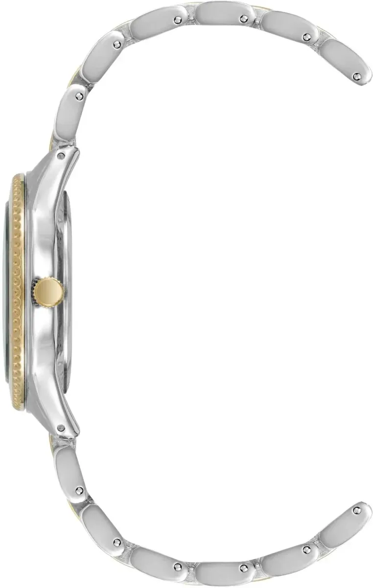 Наручные часы  Anne Klein  Metals Anne Klein 5041SVTT (фото 3)