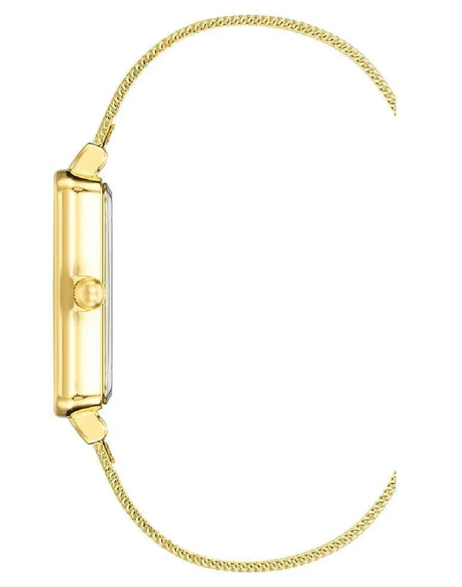 Наручные часы  Anne Klein  Steel Anne Klein 4170CHGB (фото 2)