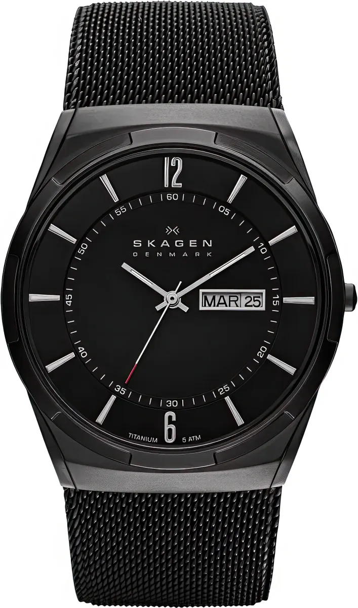 Наручные часы  Skagen  Titanium Skagen SKW6006 (фото 1)