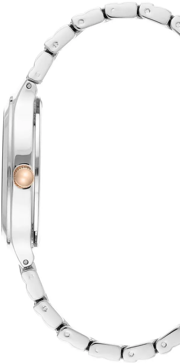 Наручные часы  Anne Klein  Steel Anne Klein 3711NVRT (фото 2)