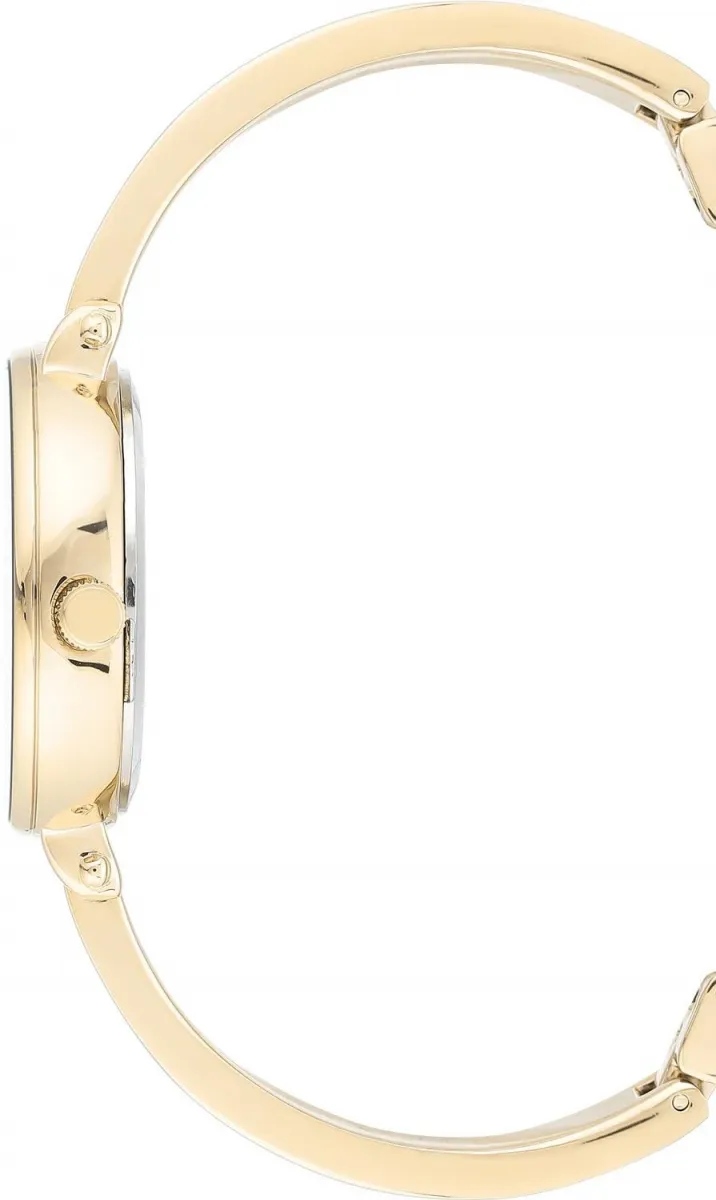 Наручные часы  Anne Klein  Box Set Anne Klein 3620PLST (фото 2)