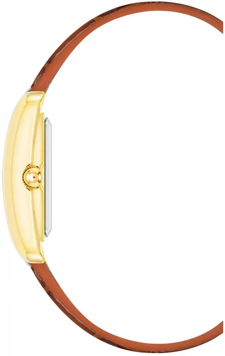 Наручные часы  Anne Klein  Leather Anne Klein 5056GPHY (фото 3)