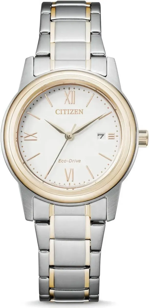 Наручные часы  Citizen  Eco Drive Citizen FE1226-82A (фото 1)