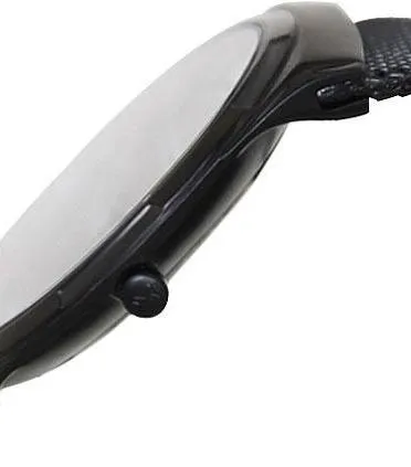 Наручные часы  Skagen  Titanium Skagen SKW6006 (фото 2)