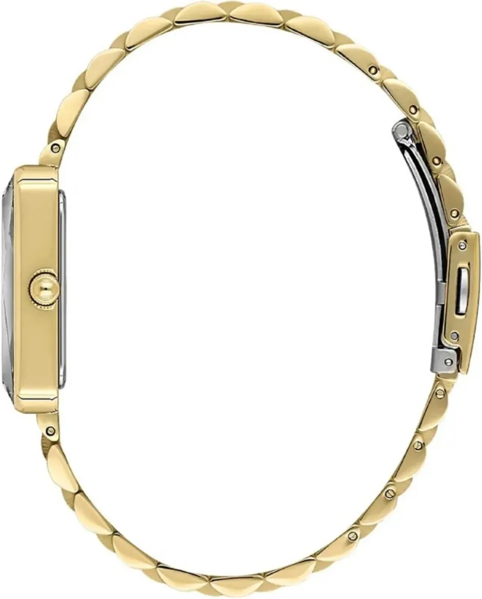 Наручные часы  Daniel Klein  Premium Daniel Klein 13875-3 (фото 2)