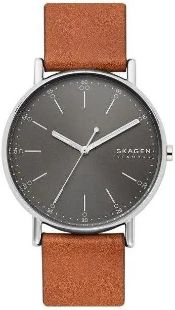 Наручные часы  Skagen  Leather Skagen SKW6578 (фото 1)