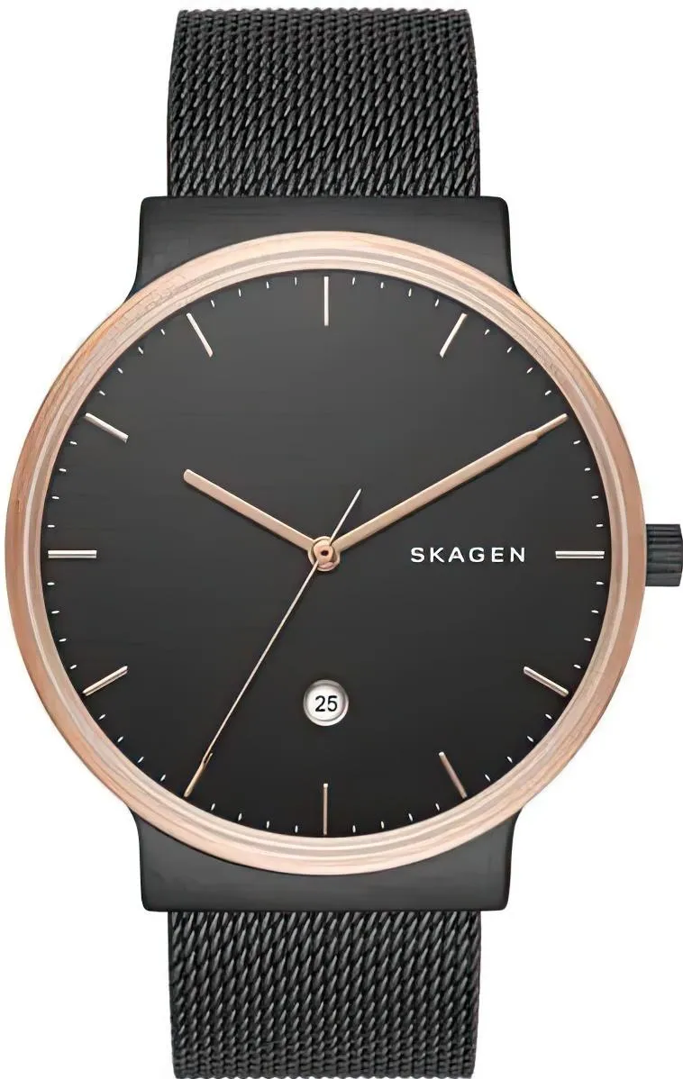 Наручные часы  Skagen  Steel Skagen SKW6296 (фото 1)