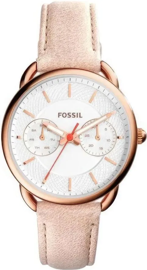 Наручные часы  Fossil  Multifunction Fossil ES4007 (фото 1)
