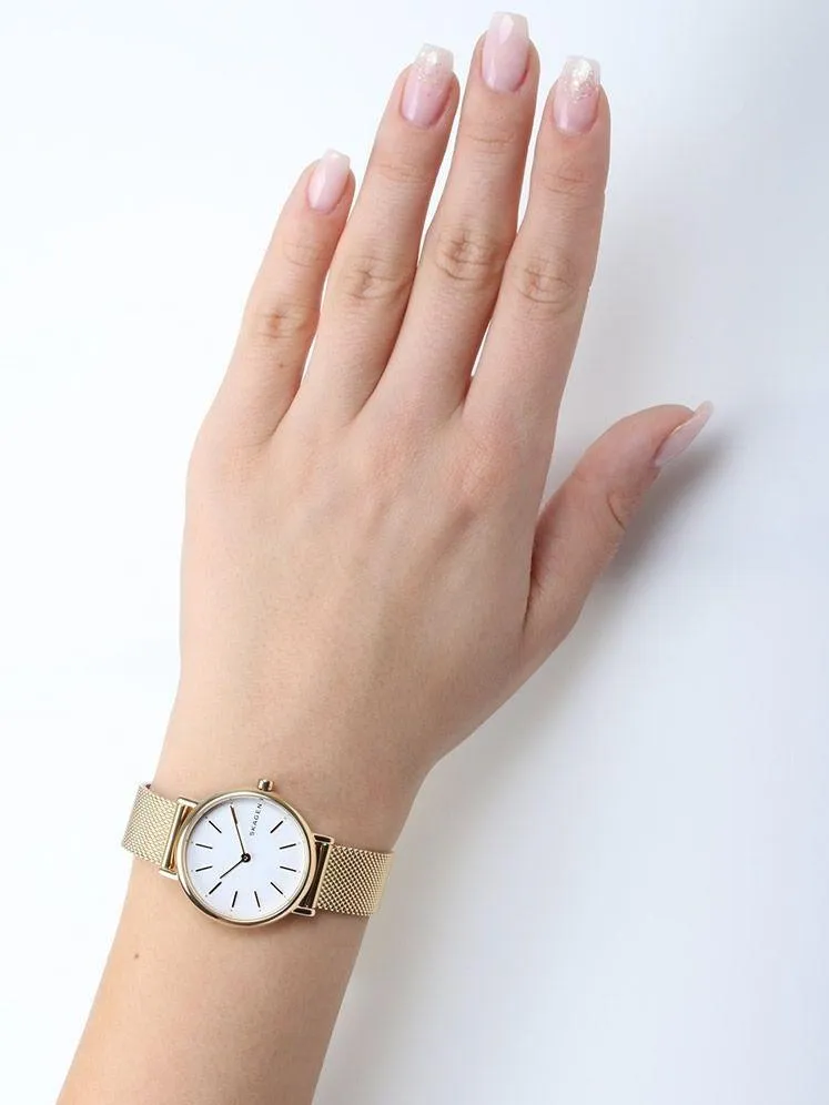 Наручные часы  Skagen  Steel Women Skagen SKW2693 (фото 2)