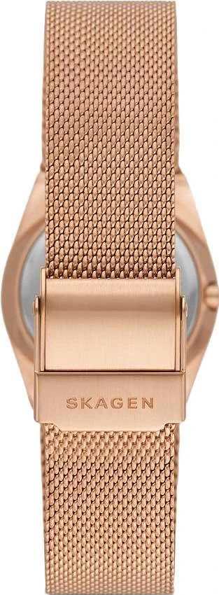 Наручные часы  Skagen  GRENEN Skagen SKW3035 (фото 3)