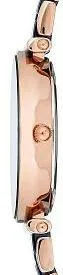 Наручные часы  Anne Klein  Ceramic Anne Klein 3158NVRG (фото 2)