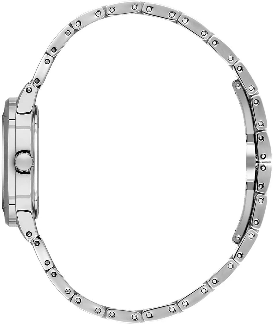 Наручные часы  Daniel Klein  Premium Daniel Klein 13955-1 (фото 2)