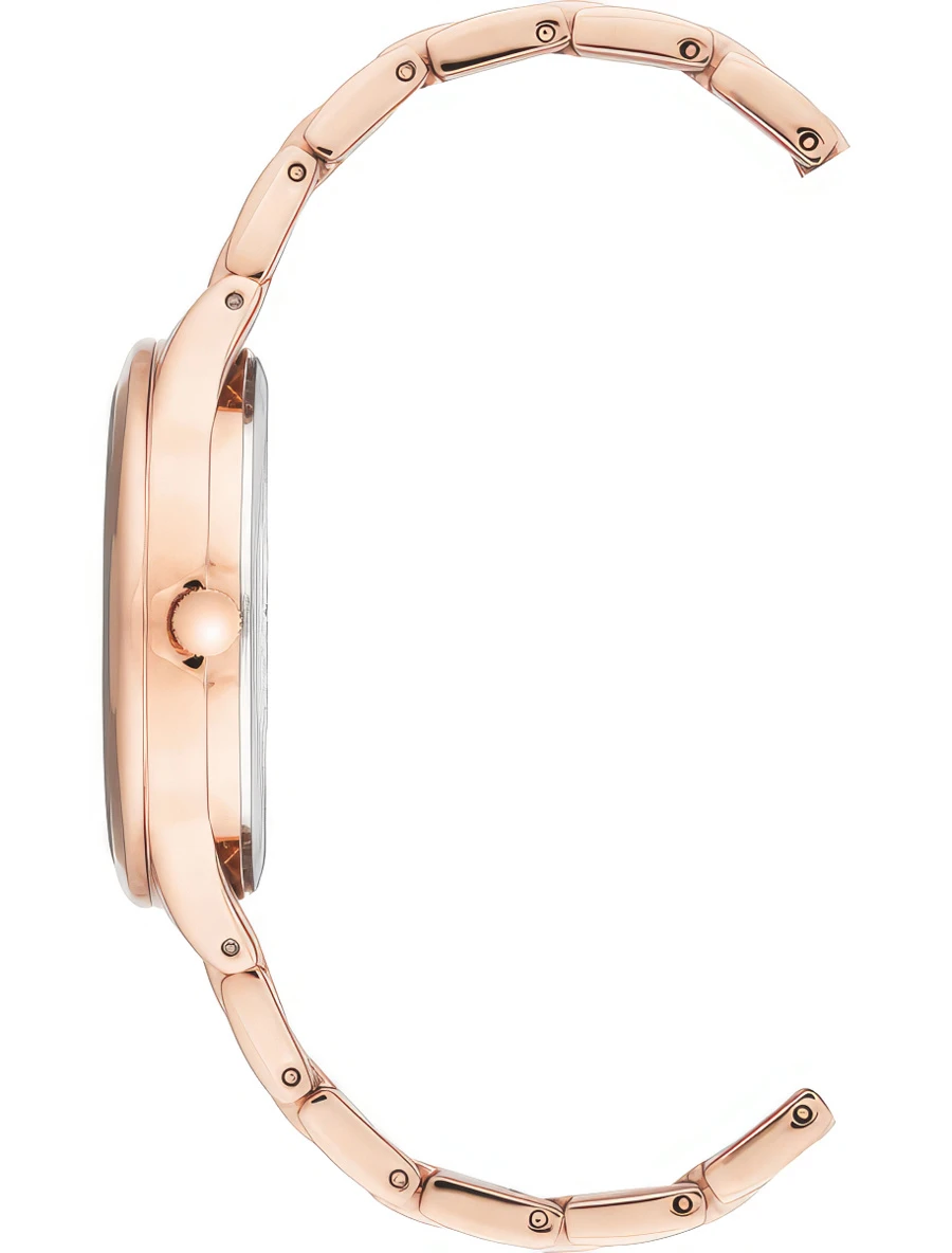 Наручные часы  Anne Klein  Steel Anne Klein 3416BYRG (фото 2)