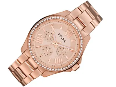 Наручные часы  Fossil  Multifunction Fossil AM4483 (фото 3)