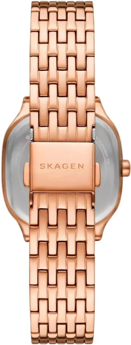 Наручные часы  Skagen  Mellem Skagen SKW3166 (фото 2)