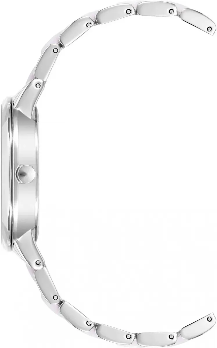 Наручные часы  Anne Klein  Plastic Anne Klein 1413IRSV (фото 3)