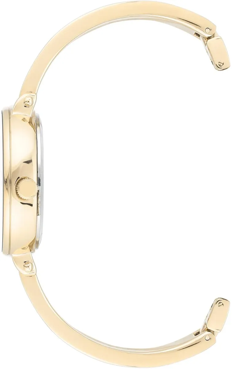 Наручные часы  Anne Klein  Box Set Anne Klein 3620CRST (фото 2)