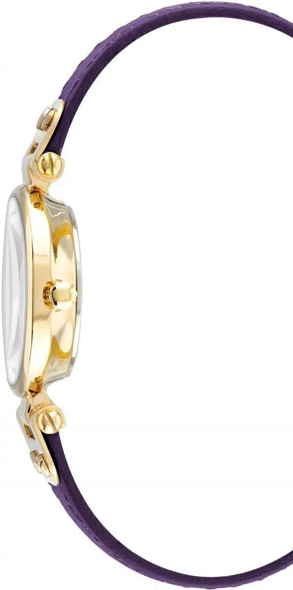 Наручные часы  Anne Klein  Leather Anne Klein 9442CHPR (фото 2)