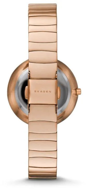 Наручные часы  Skagen  Steel Skagen SKW2227 (фото 2)