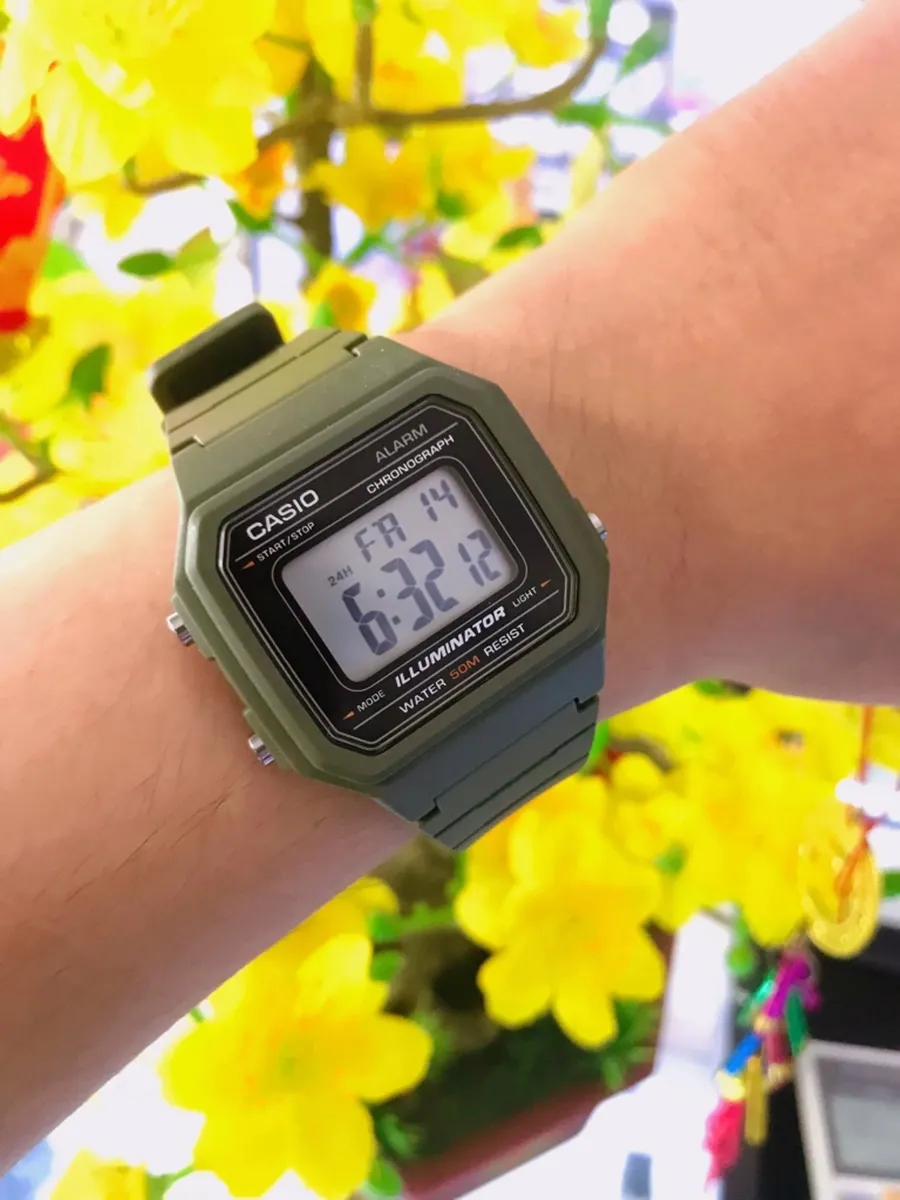 Наручные часы  Casio  Collection Casio W-217H-3A (фото 2)