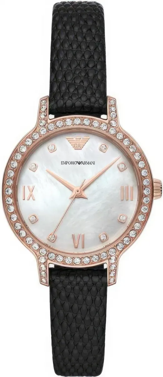 Наручные часы  Emporio Armani  Classics Emporio Armani AR11485 (фото 1)