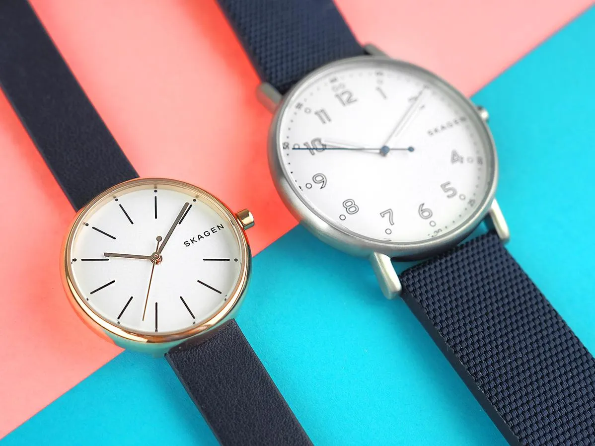 Наручные часы  Skagen  Mesh Skagen SKW6356 (фото 2)