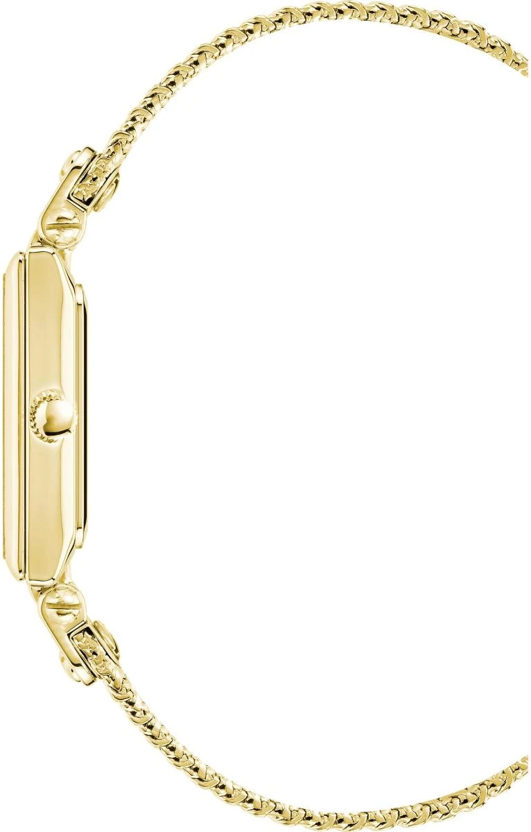 Часы  Anne Klein  Metals Anne Klein 3882BKGB (фото 2)