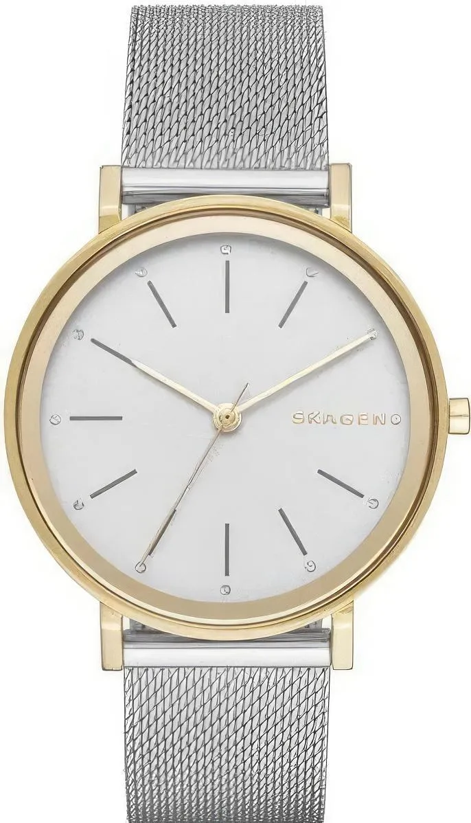Наручные часы  Skagen  Steel Skagen SKW2508 (фото 1)