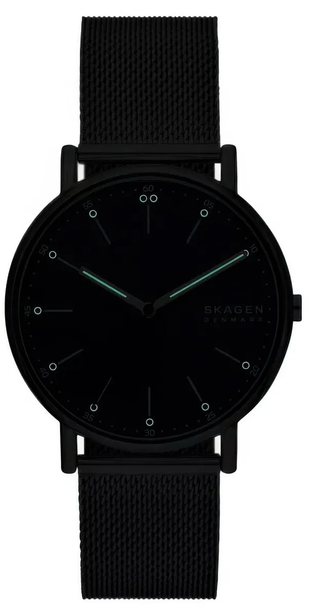 Наручные часы  Skagen  Signatur Skagen SKW6904 (фото 4)
