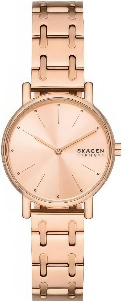 Наручные часы  Skagen  Signatur Skagen SKW3125 (фото 1)