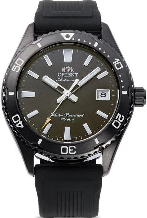 Наручные часы  Orient  Automatic Orient RA-AC0Q10N (фото 1)