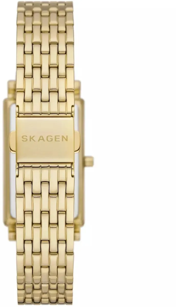 Наручные часы  Skagen  Black Label Skagen SKW3113 (фото 3)