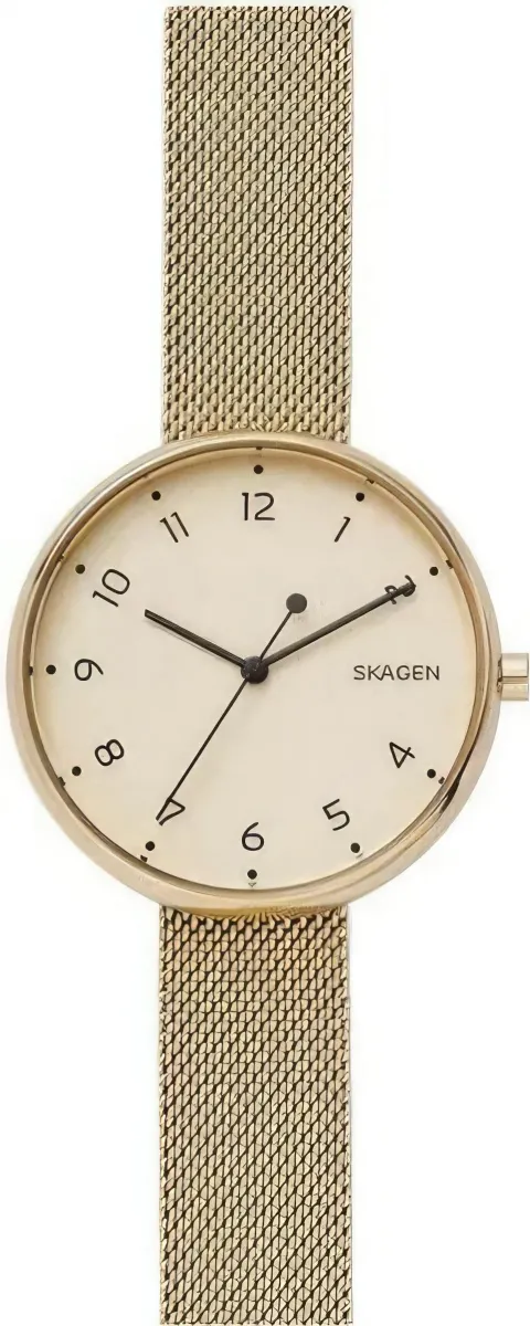 Наручные часы  Skagen  Steel Women Skagen SKW2625 (фото 1)