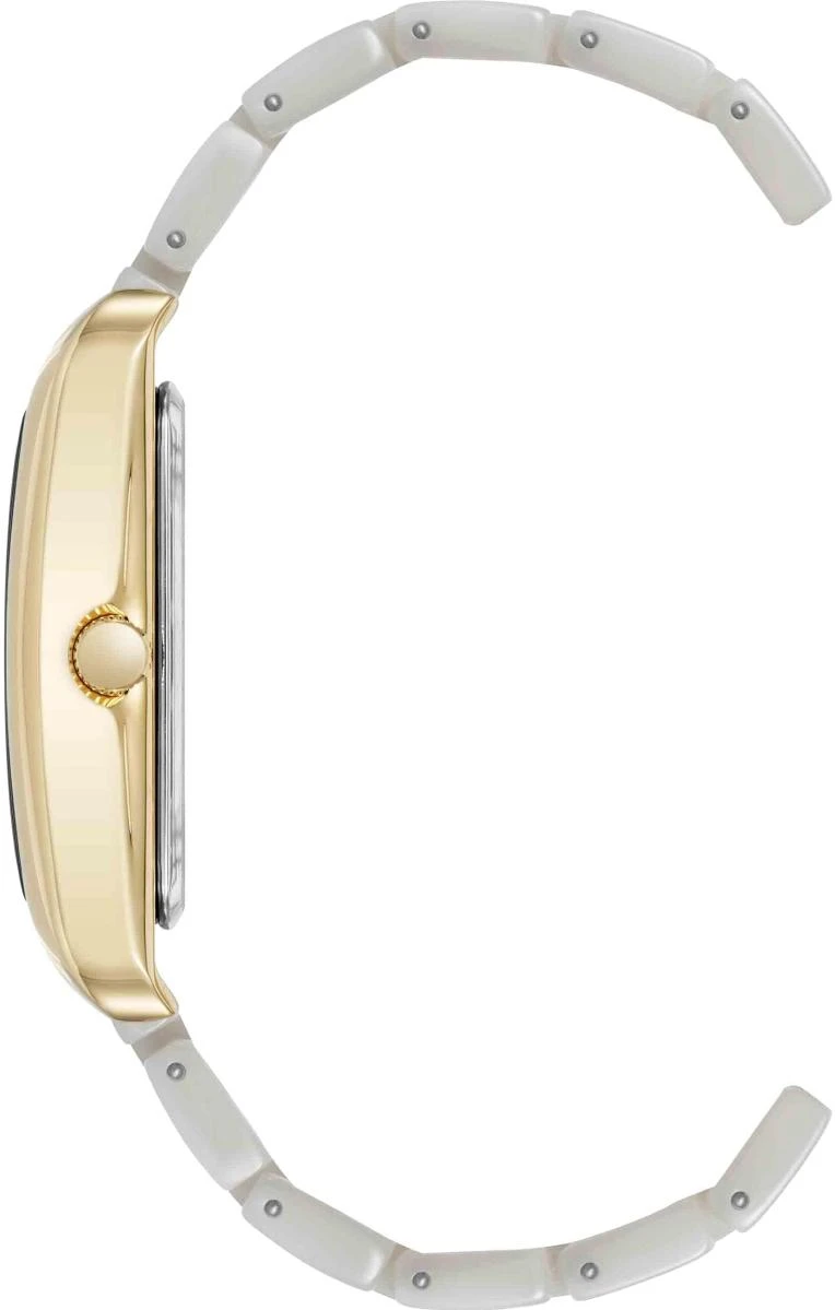 Наручные часы  Anne Klein  Plastic Anne Klein 5290GPIV (фото 2)