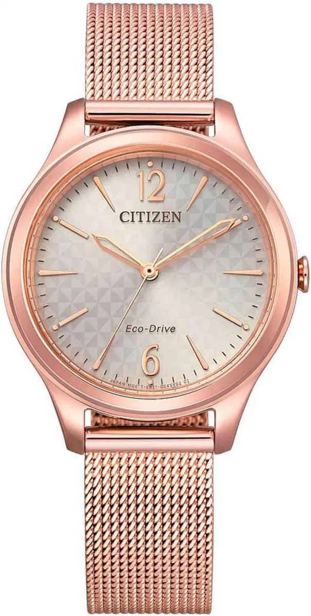 Наручные часы  Citizen  Eco Drive Citizen EM0508-80X (фото 1)