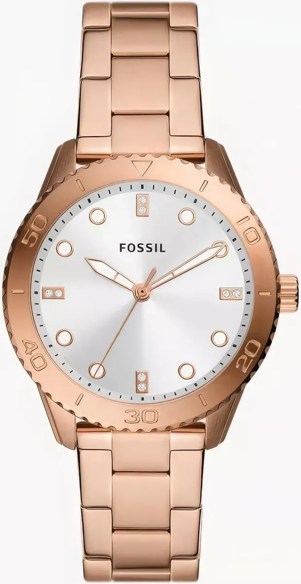 Наручные часы  Fossil  Dayle Fossil BQ3886 (фото 1)