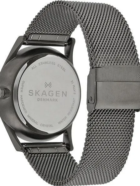 Наручные часы  Skagen  Steel Skagen SKW6180 (фото 2)