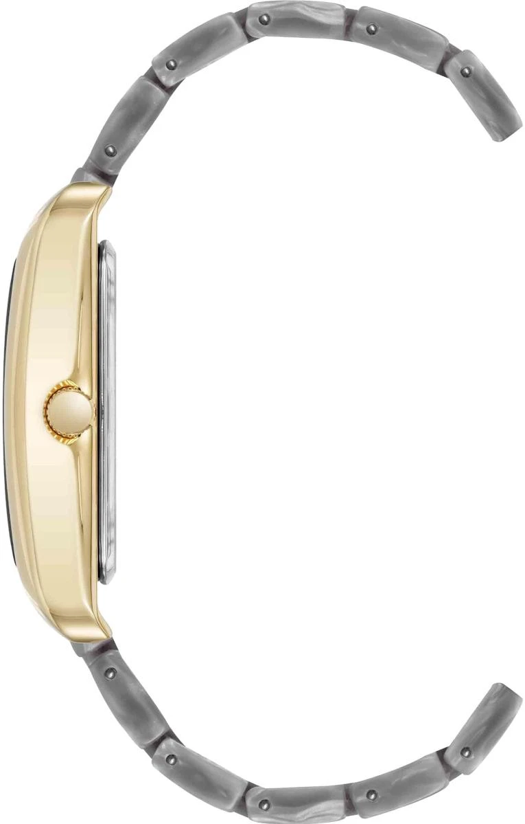 Наручные часы  Anne Klein  Plastic Anne Klein 5290GPLG (фото 2)