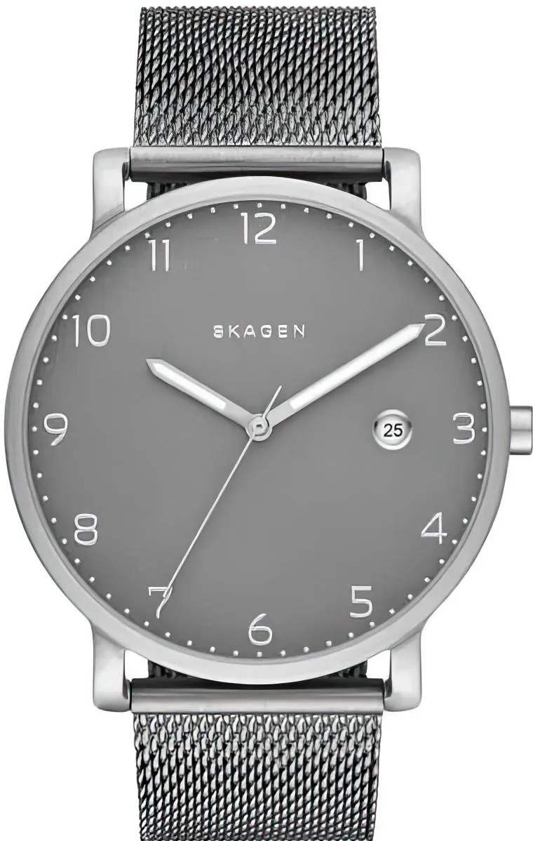 Наручные часы  Skagen  Steel Skagen SKW6307 (фото 1)