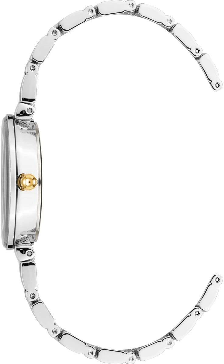 Наручные часы  Anne Klein  Diamond Anne Klein 2435GMTT (фото 2)