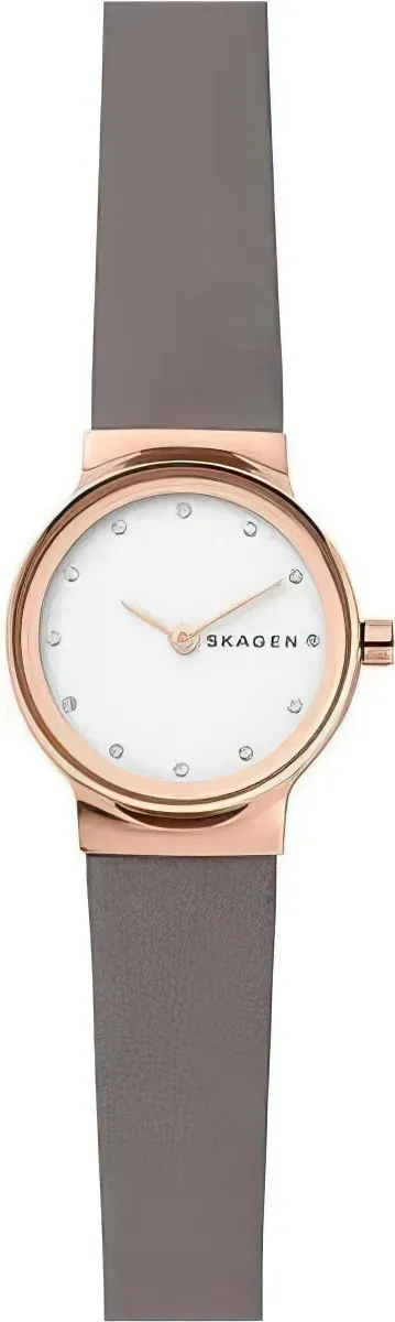 Наручные часы  Skagen  Leather Women Skagen SKW2669 (фото 1)