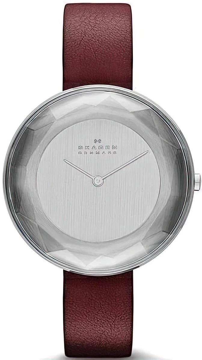 Наручные часы  Skagen  Leather Skagen SKW2273 (фото 1)