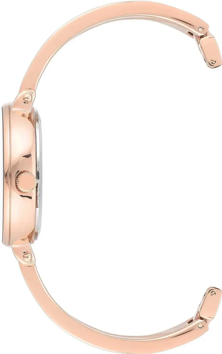 Наручные часы  Anne Klein  Box Set Anne Klein 3620WTST (фото 2)