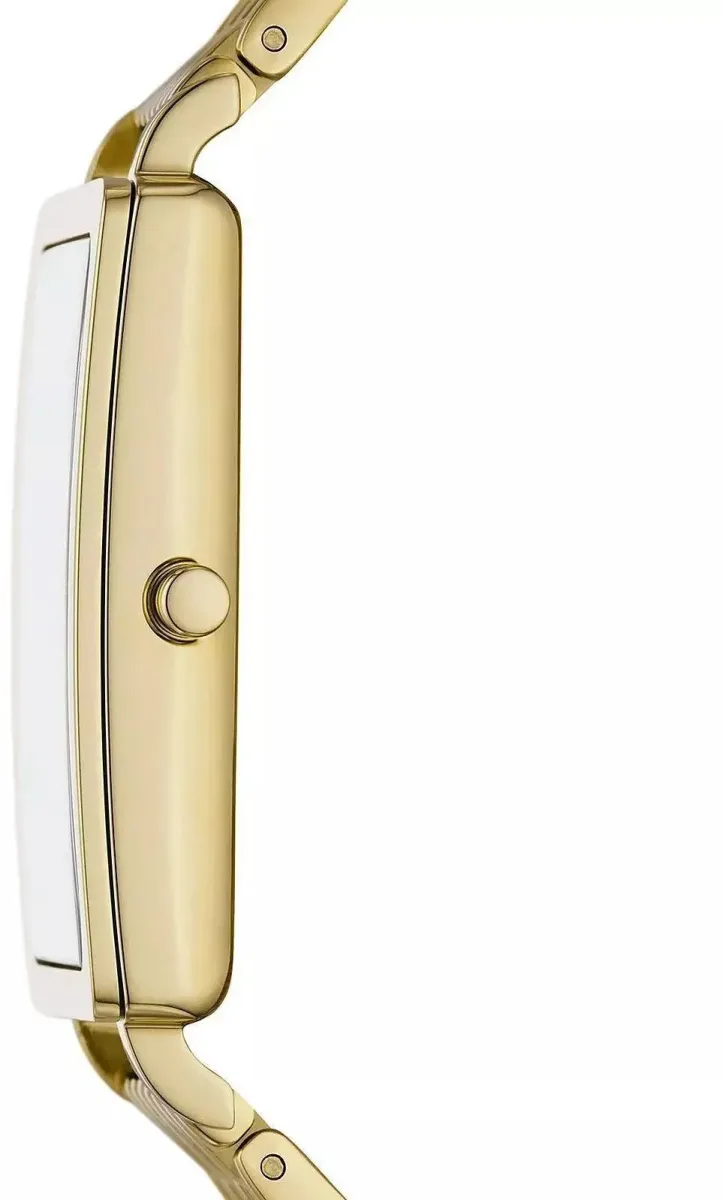 Наручные часы  Skagen  Black Label Skagen SKW3113 (фото 2)