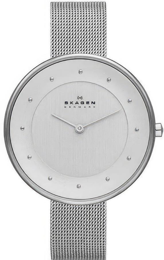 Наручные часы  Skagen  Steel Skagen SKW2140 (фото 1)