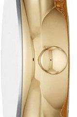 Наручные часы  Skagen  Steel Women Skagen SKW2717 (фото 2)