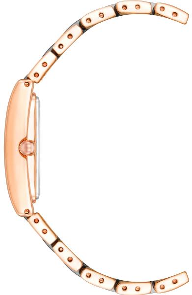 Наручные часы  Anne Klein  Plastic Anne Klein 3998NVRG (фото 2)